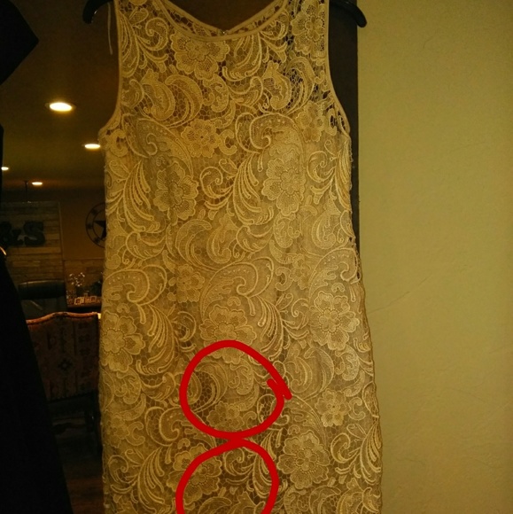 Dresses - Picture 7 of 7